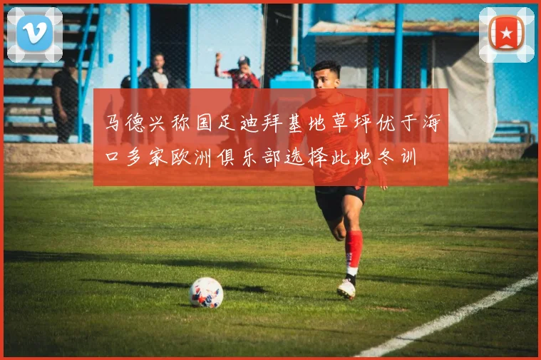 马德兴称国足迪拜基地草坪优于海口多家欧洲俱乐部选择此地冬训