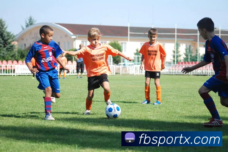 FB体育品牌故事