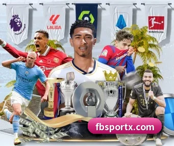 FB体育 APP - FBSports